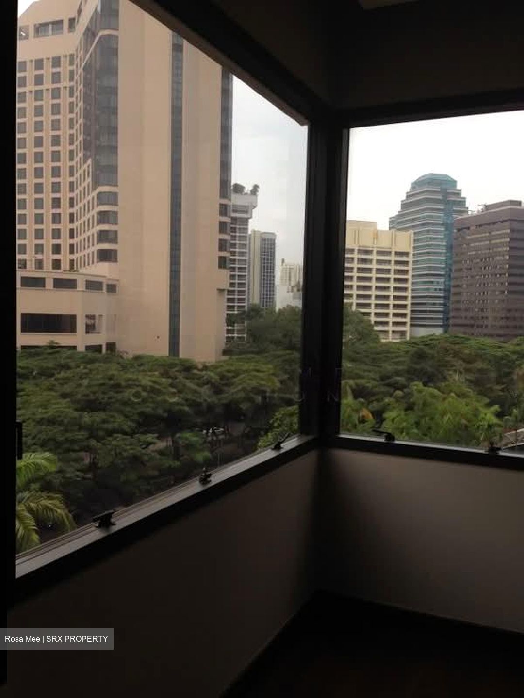 Four Seasons Park (D10), Condominium #565061661